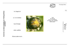 Vario-Fruehlings-Elfchen-12.pdf